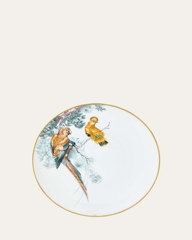 Carnets d' Equateur Birds Dinner Plate